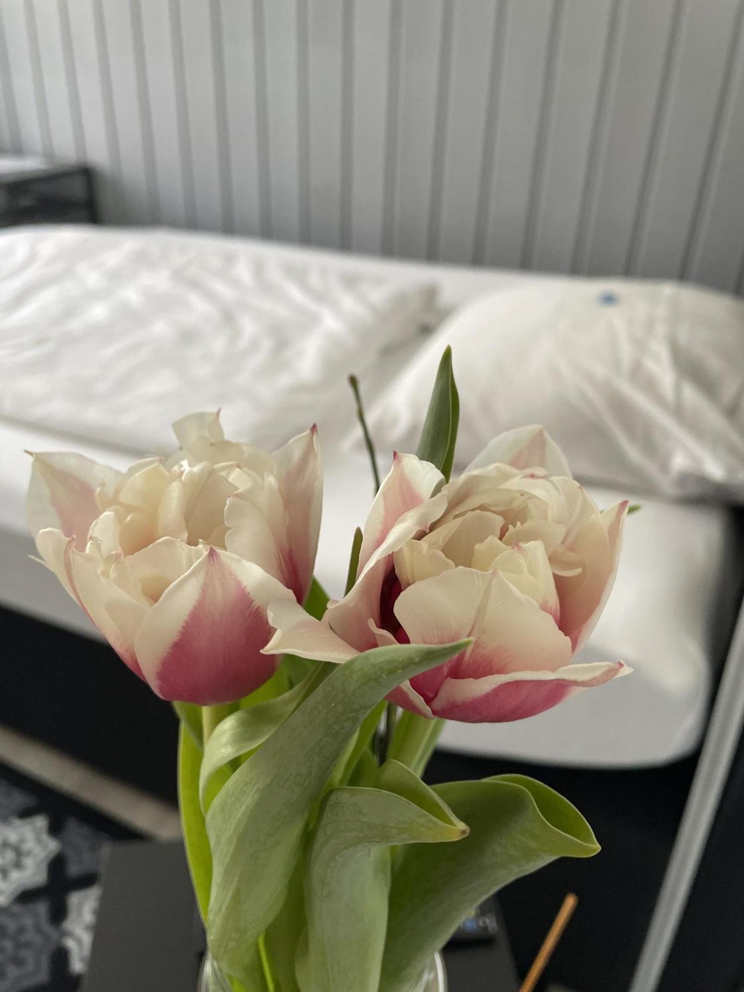 אסן Hotel Jaegerhof Kettwig חדר תמונה